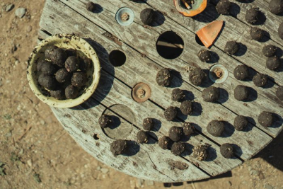 A collection of seed bombs on a wooden table