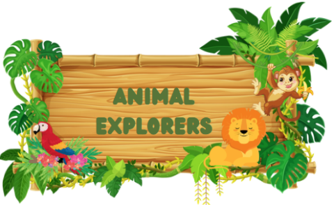 Animal Explorers