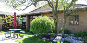 The library's rear courtyard.